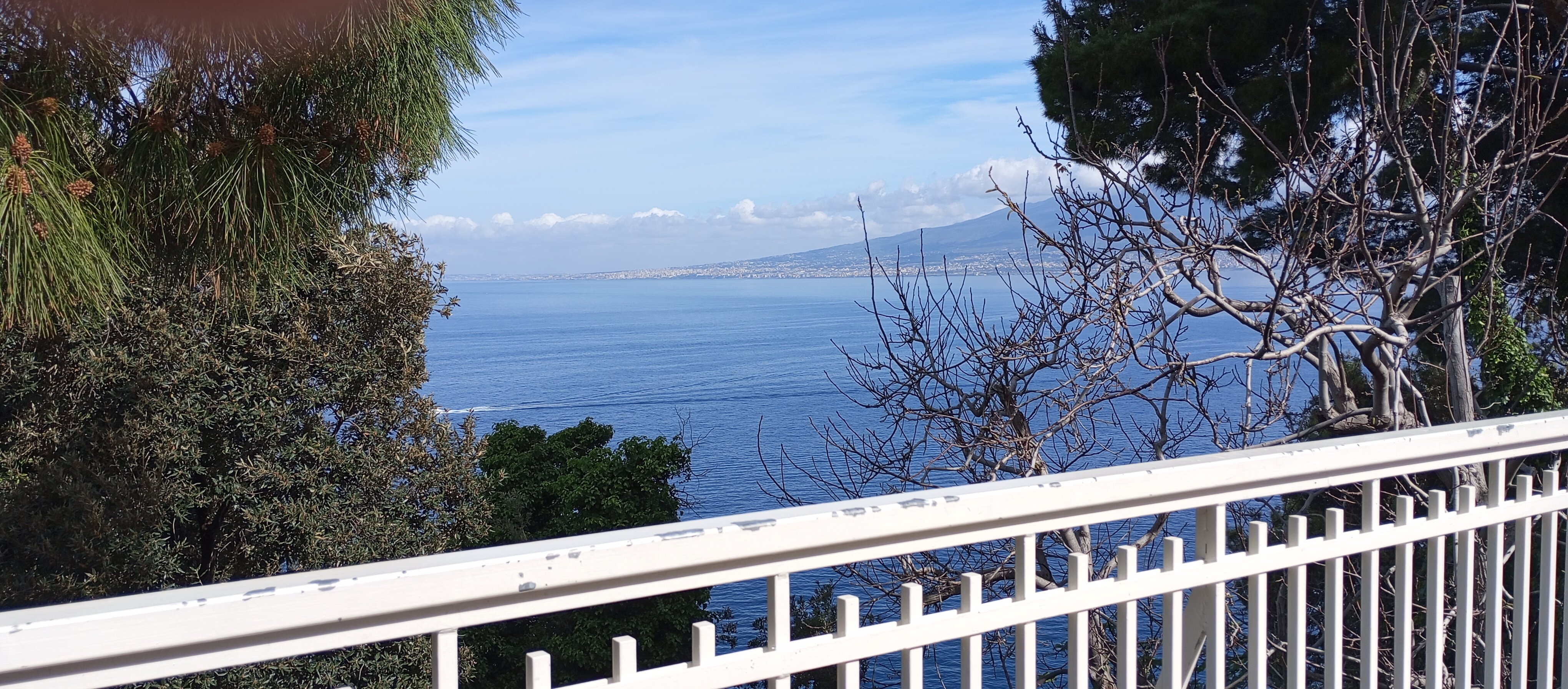 img_20250419_100236.jpeg img_20250419_100236.jpeg