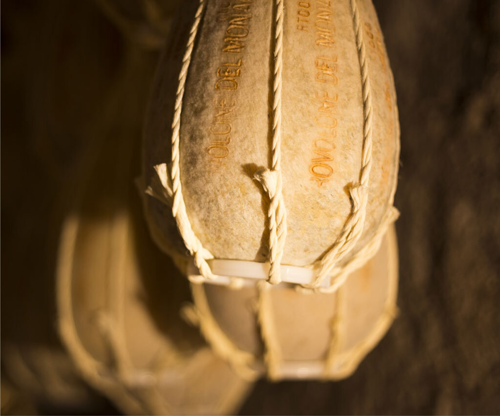 vico-31.jpeg vico-31.jpeg