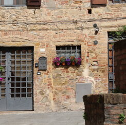 ek4a4806.jpeg ek4a4806.jpeg