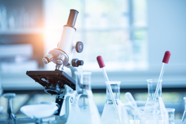 laboratorio