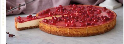 whatsapp image 2026-04-03 at 14.10.58.jpeg