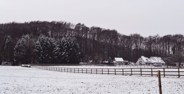 hagen nieve 4.jpeg hagen nieve 4.jpeg
