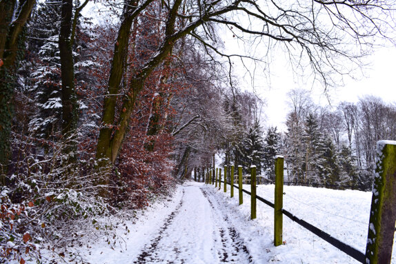 hagen nieve 2.jpeg hagen nieve 2.jpeg