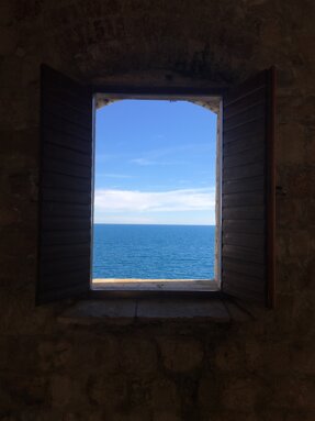 img_6815.jpeg img_6815.jpeg