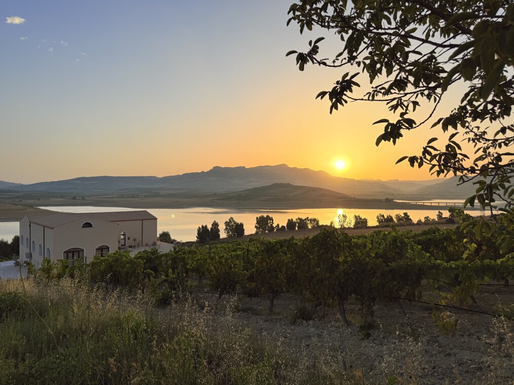 img_4551.jpeg img_4551.jpeg