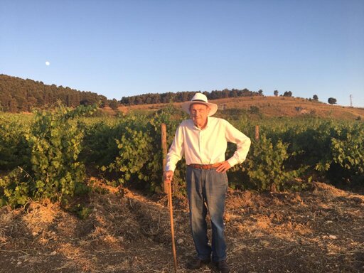 2ac59785-810c-4dbb-ba57-88ee0d524132.jpeg 2ac59785-810c-4dbb-ba57-88ee0d524132.jpeg