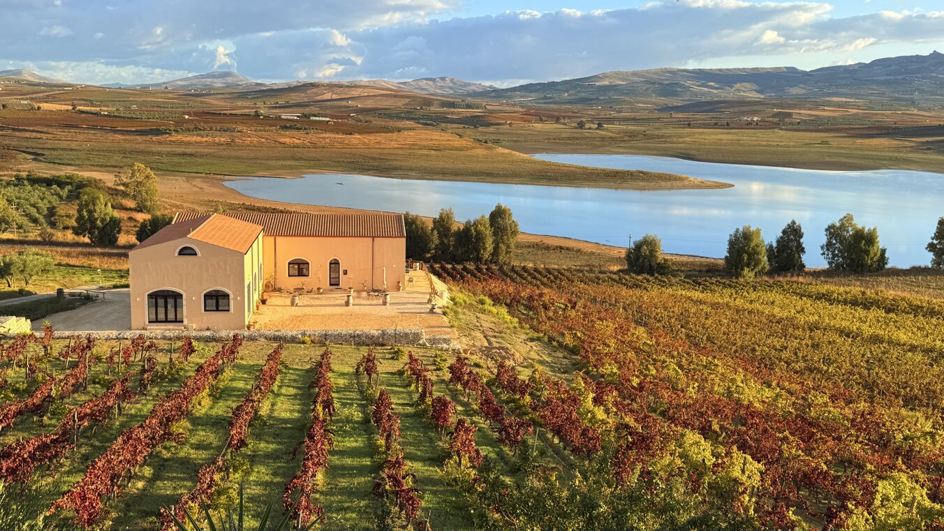 img_7410.jpeg img_7410.jpeg