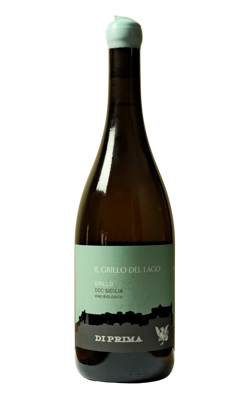 ilgrilloprogetto senza titolo-5