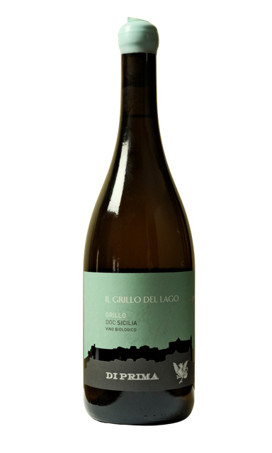 ilgrilloprogetto senza titolo-5