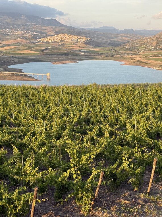 img_3397.jpeg img_3397.jpeg