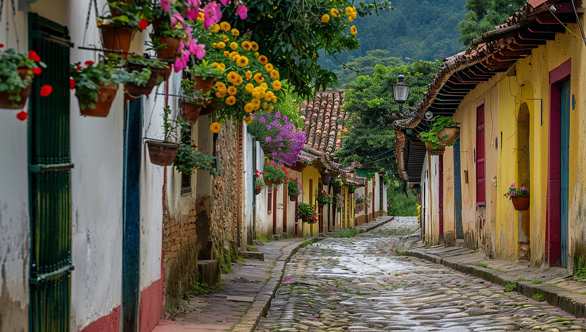 street-with-bunch-flowers-hanging-from-building.jpeg
