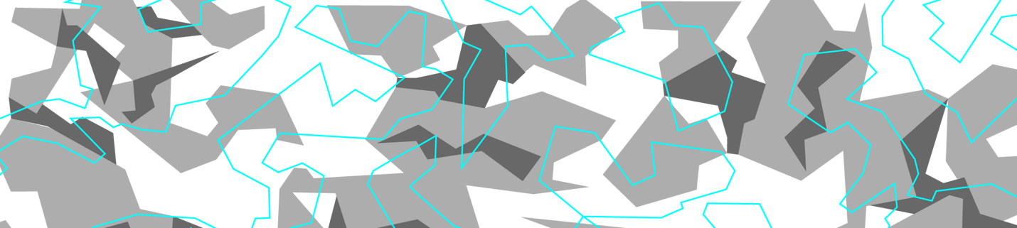 collectioncamo