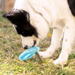 giocattolo-da-mordere-congelabile-per-animali-domestici-2-in-1-glubiz-innovagoods