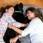 letto-cani-per-umani-human-dog-bed-xxl-innovagoods-grey
