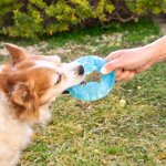 giocattolo-da-mordere-congelabile-per-animali-domestici-2-in-1-glubiz-innovagoods