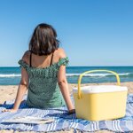 frigorifero-portatile-rigido-lilty-innovagoods-15-l