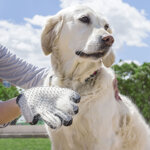 guanto-per-pettinare-e-massaggiare-animali-domestici-relpet-innovagoods