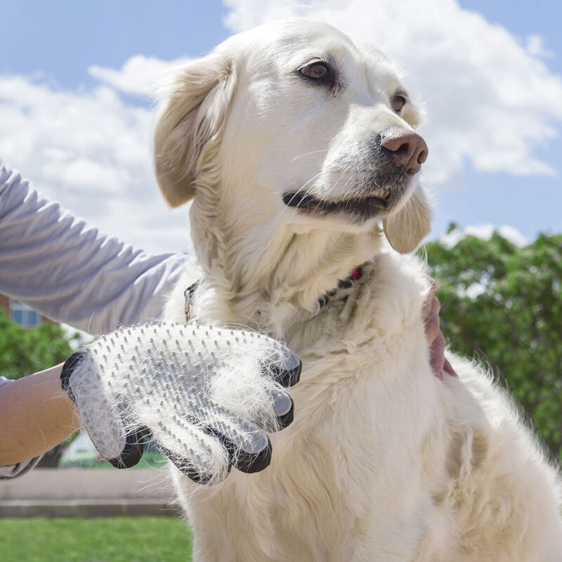 guanto-per-pettinare-e-massaggiare-animali-domestici-relpet-innovagoods
