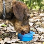 bottiglia-con-contenitore-per-acqua-e-cibo-per-animali-domestici-2-in-1-pettap-innovagoods