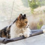 amaca-pensile-per-gatti-catlax-innovagoods