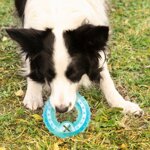 giocattolo-da-mordere-congelabile-per-animali-domestici-2-in-1-glubiz-innovagoods