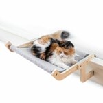 amaca-pensile-per-gatti-hamacat-innovagoods