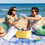 frigorifero-portatile-rigido-lilty-innovagoods-15-l