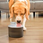 fontanella-per-gatti-ricaricabile-con-sensore-refopet-innovagoods