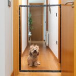 rete-di-protezione-per-animali-domestici-petinu-innovagoods