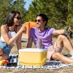 frigorifero-portatile-rigido-lilty-innovagoods-15-l