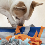 tappeto-olfattivo-per-animali-domestici-fooland-innovagoods