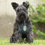 antiparassitario-a-ultrasuoni-ricaricabile-per-animali-domestici-petrep-innovagoods