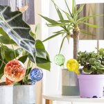 palline-di-irrigazione-automatica-ballwooters-innovagoods-4-unita