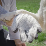 guanto-per-pettinare-e-massaggiare-animali-domestici-relpet-innovagoods