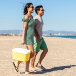 frigorifero-portatile-rigido-lilty-innovagoods-15-l