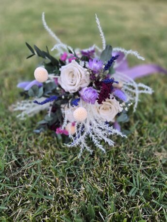 516253394_703326849356967_7732802078150885512_n.jpeg 516253394_703326849356967_7732802078150885512_n.jpeg