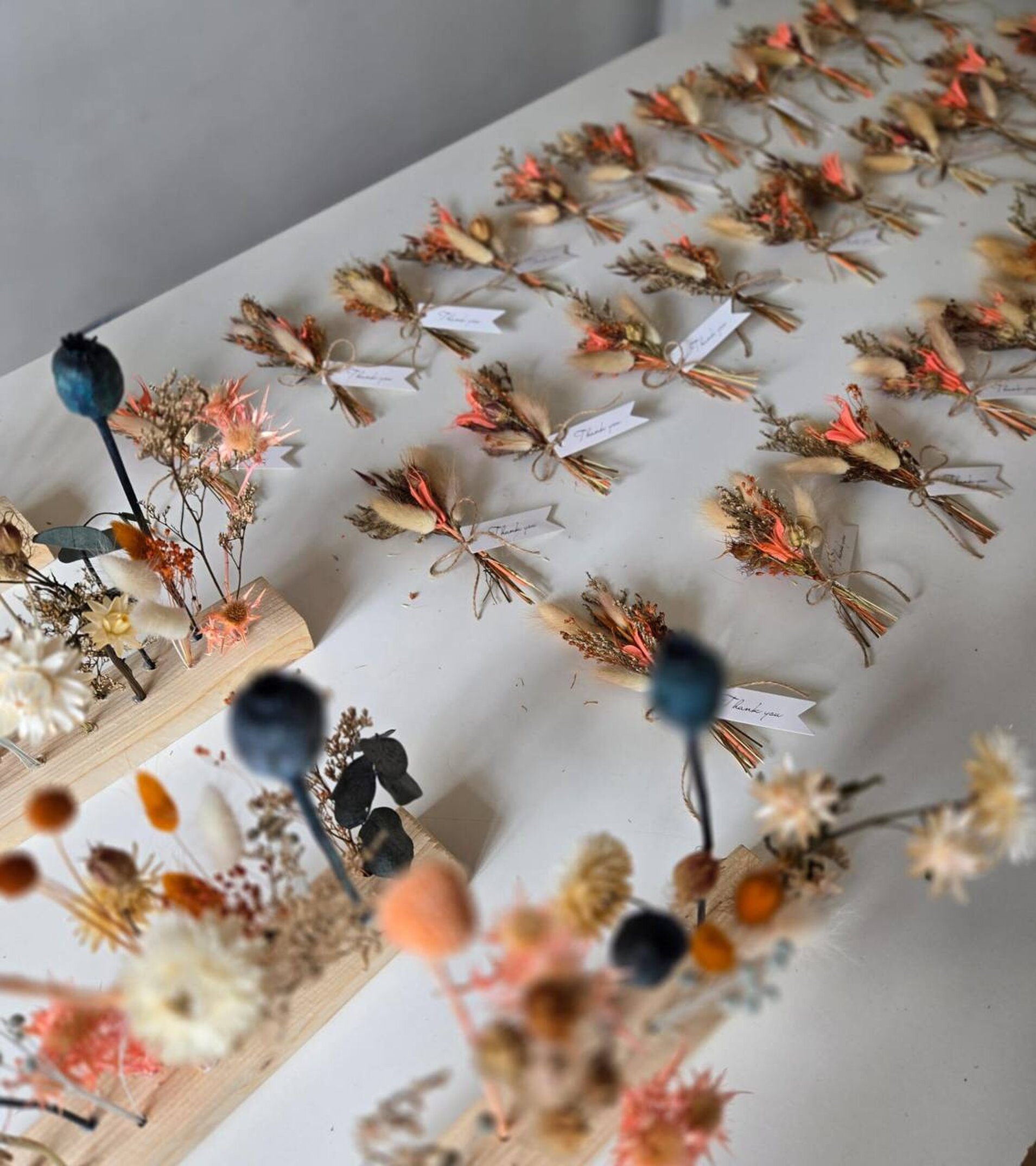 photo_2025-08-07_16-51-45.jpeg photo_2025-08-07_16-51-45.jpeg