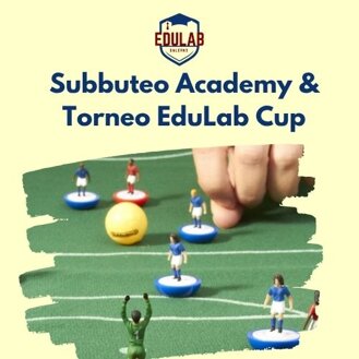 subbuteo.jpeg