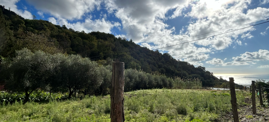 senza titolo - 21 luglio 2025 18.28.54 senza titolo - 21 luglio 2025 18.28.54