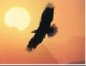 626934def5f3916dcfa405a267a6176040e0e9a4