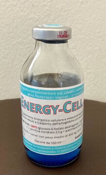 whatsapp image 2025-11-25 at 16.06.38.jpeg whatsapp image 2025-11-25 at 16.06.38.jpeg