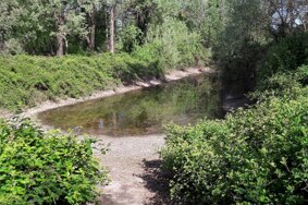 Vivere Peschiera Borromeo
