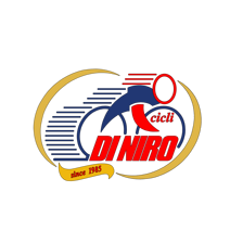 logo cicli di niro livelli 5 copia