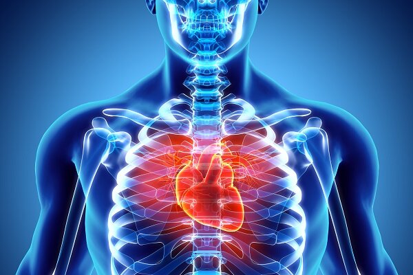 Malattie cardiache ereditarie: cos'è la cardiomiopatia, quanti tipi ne esistono e come si può prevenire