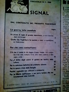 rivista ted int 3.jpeg rivista ted int 3.jpeg