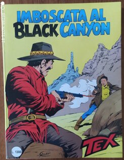 318 imboscata al black canyon.jpeg 318 imboscata al black canyon.jpeg