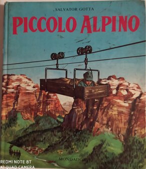 piccolo alpino grande.jpeg piccolo alpino grande.jpeg