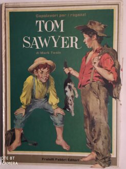 tom sawyer.jpeg tom sawyer.jpeg