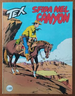 247 sfida nel canyon.jpeg 247 sfida nel canyon.jpeg