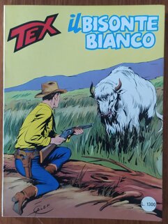 316 il bisonte bianco.jpeg 316 il bisonte bianco.jpeg